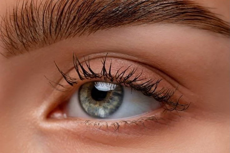 Imagem ilustrativa: Brow Lamination