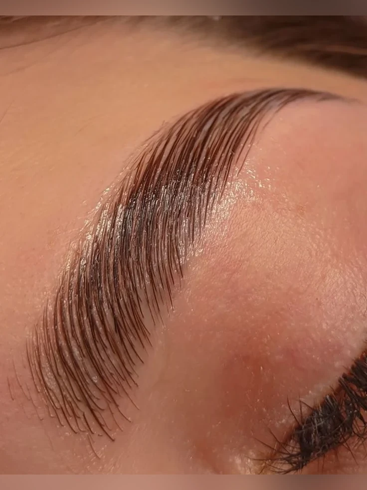 Imagem do curso de Brow Lamination